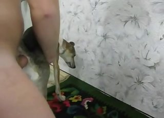 Bitch